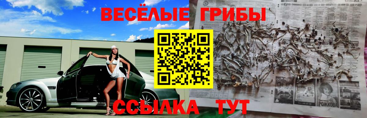 Галлюциногенные грибы прущие грибы  Вход с VPN  Тара  продажа наркотиков  Псилоцибиновые грибы Magic Shrooms 