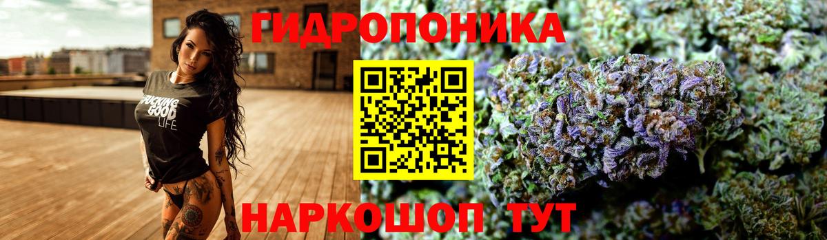 Тара  Шишки марихуана THC 21%  МАРИХУАНА гибрид  Канабис AK-47  Бошки Шишки Amnesia  Вход с VPN 